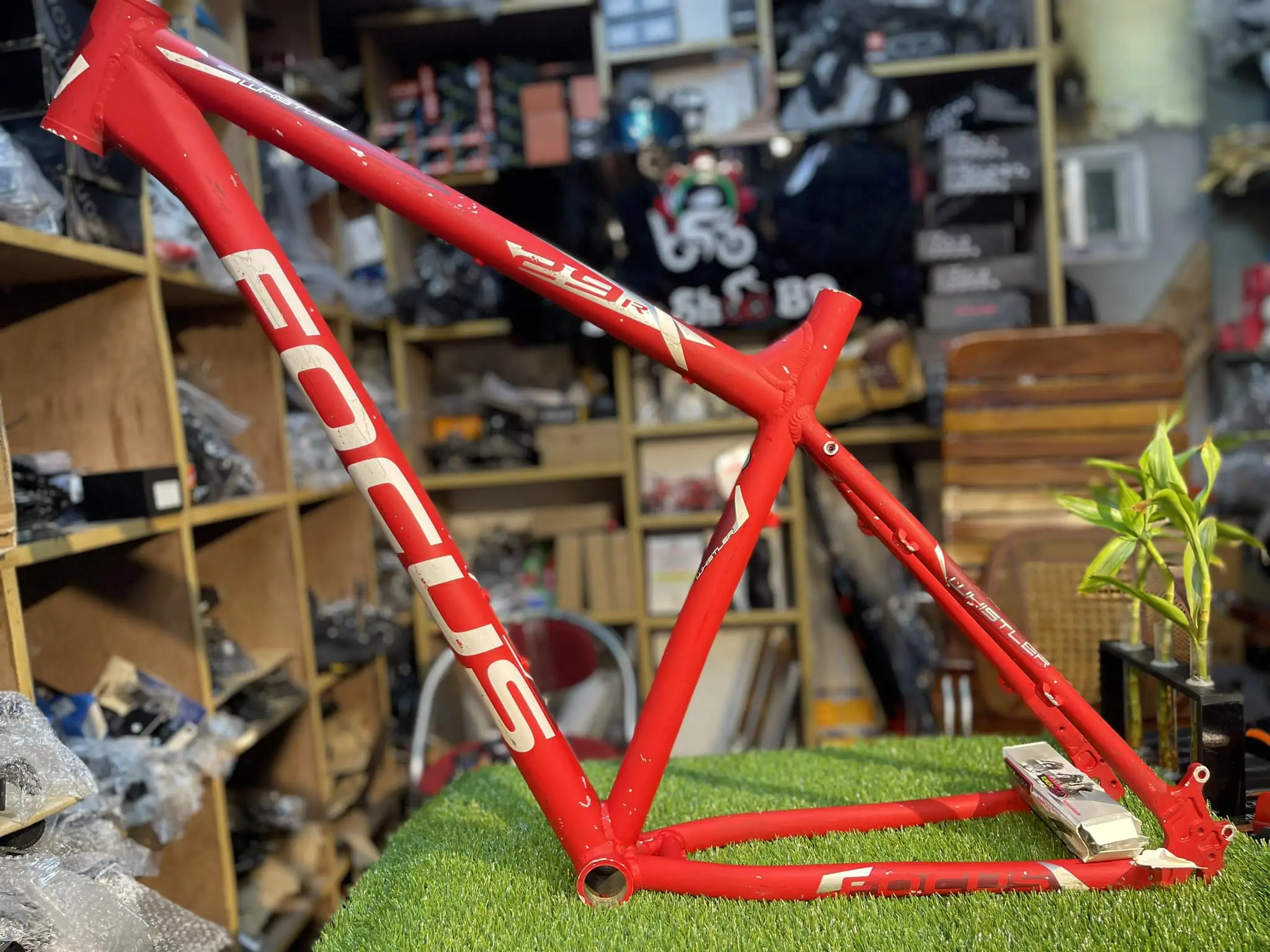 Focus Biccycle Frame 27.5" 29"