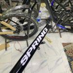 Spring Ridged Fork