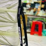 Spring Ridged Fork
